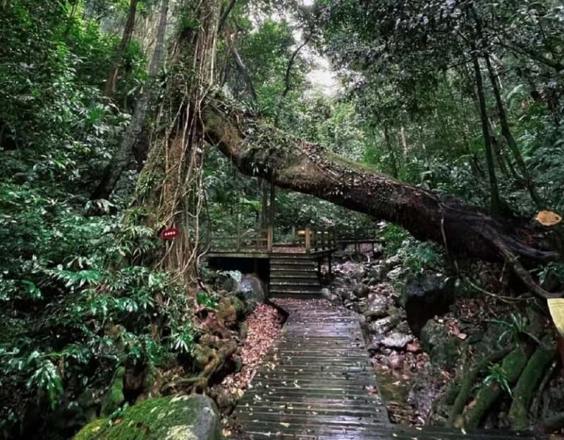 Hainan: A private day trip to Wuzhishan - An Overview of the Day’s Journey