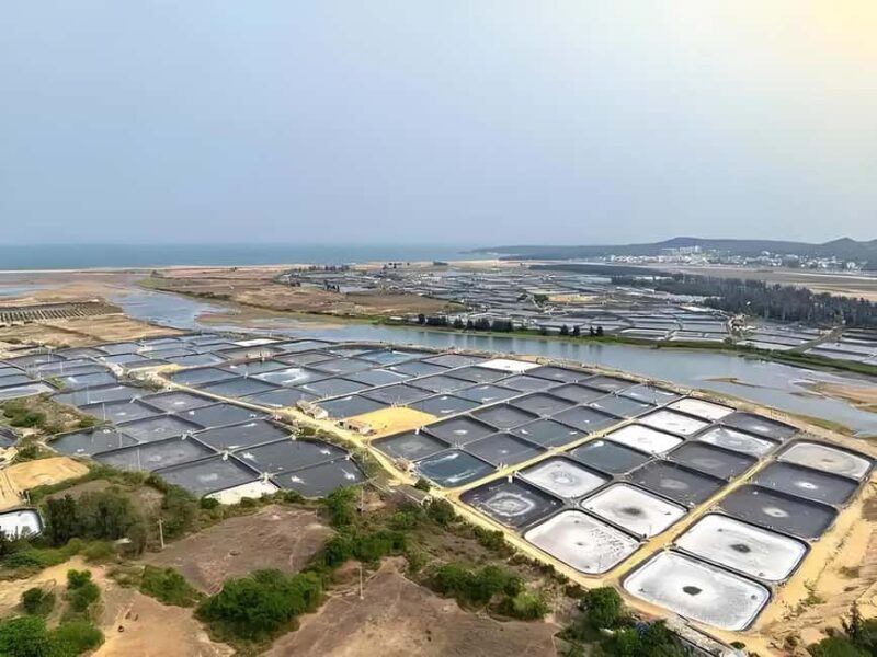 Hainan: Xiantian Village, Junling Temple, & Qizi Bay Tour - Practical Details and What You Should Know