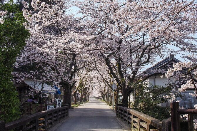 Hakata Old Town Walking Tour Tracing the True History of Fukuoka - FAQs