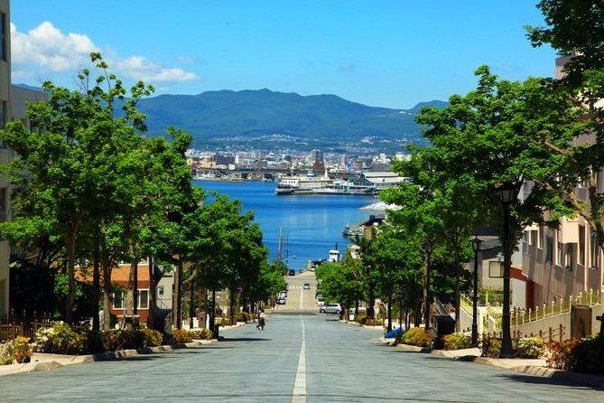 Hakodate 4hr Private Tour with Government-Licensed Guide - The Sum Up