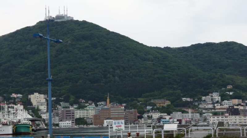 Hakodate: a half-day tour with Government Licensed guide - Key Points