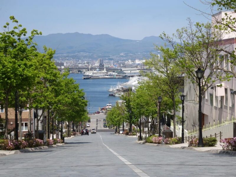Hakodate: a half-day tour with Government Licensed guide - Who Should Consider This Tour?