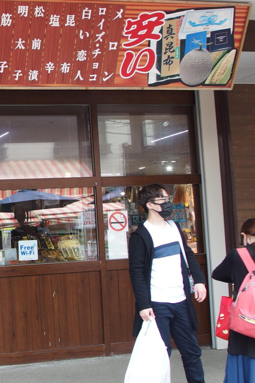 Hakodate: a half-day tour with Government Licensed guide - The Sum Up: Is This Tour Worth It?