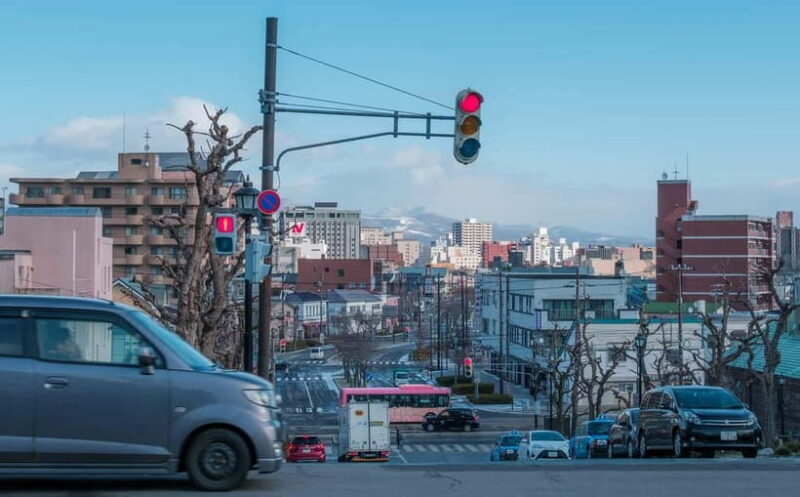 Hakodate Highlights Shore Excursion (5h) for Cruise Guests - What Makes This Tour Stand Out