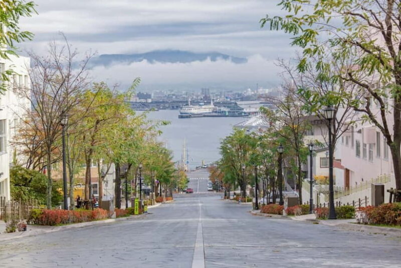 Hakodate Highlights Shore Excursion (5h) for Cruise Guests - Who Will Love This Tour?