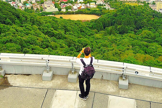 Hakodate: Historic Port Walk & Mt. Hakodate Panoramic Views - The Itinerary in Detail