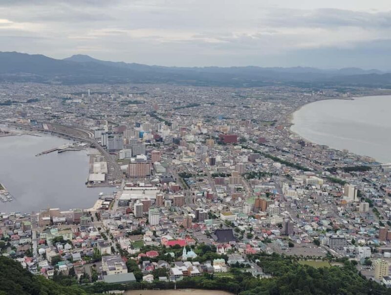 Hakodate: Historic Port Walk & Mt. Hakodate Ropeway Tour - Who Should Consider This Tour?