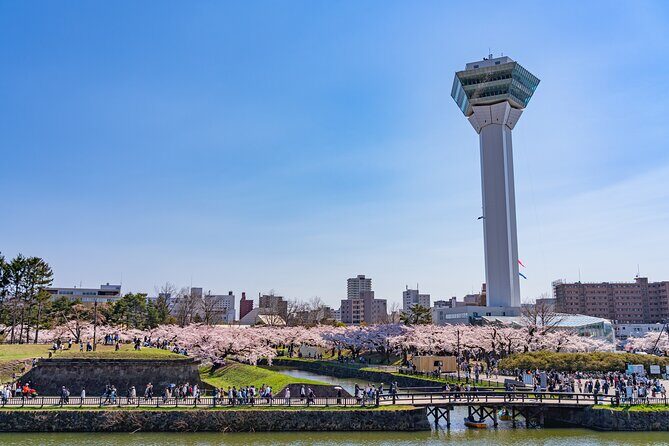 Hakodate Private Customizable 6-Hour Tour - Analyzing the Value