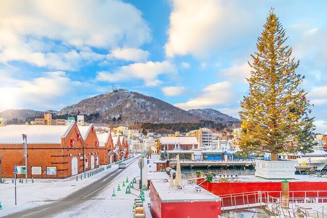 Hakodate Private Customizable 6-Hour Tour - Who Will Benefit Most?