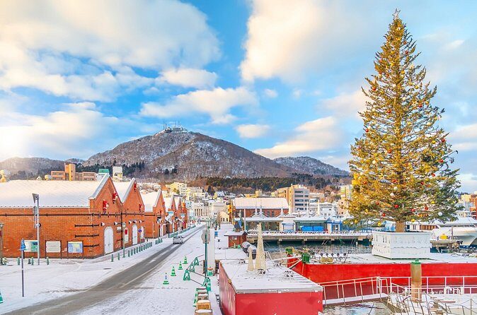 Hakodate Private Customizable 6-Hour Tour - Final Thoughts