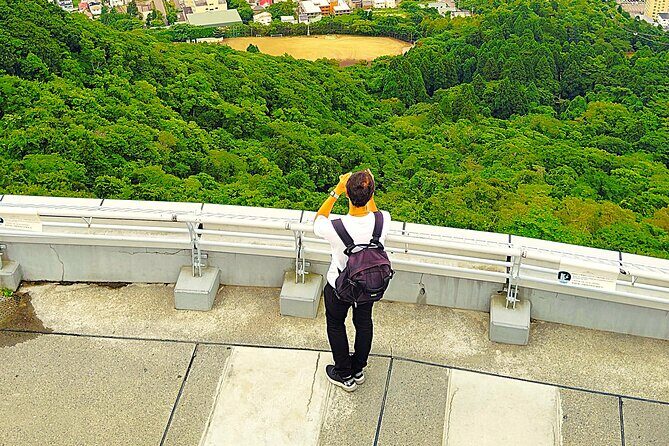 Hakodate: Romantic Port Walk & Mt. Hakodate Night View - An In-Depth Look at the Tour Experience