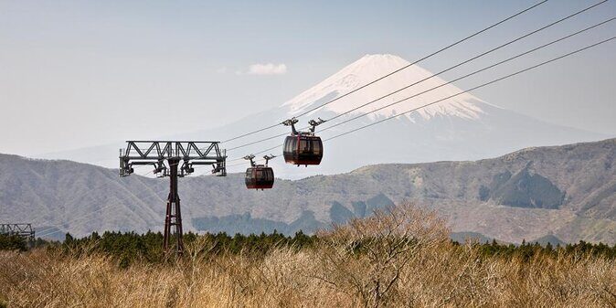 Hakone 8 hour Private Tour with Government-Licensed Guide - Introduction