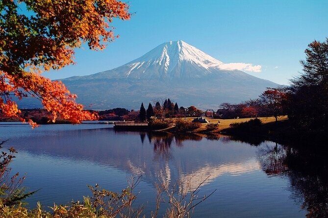 Hakone 8 hour Private Tour with Government-Licensed Guide - The Sum Up