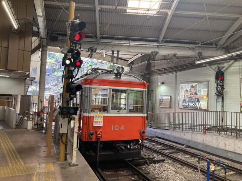Hakone Adventure: Explore Natures Beauty and Tranquility - Authentic Experiences and Reviews