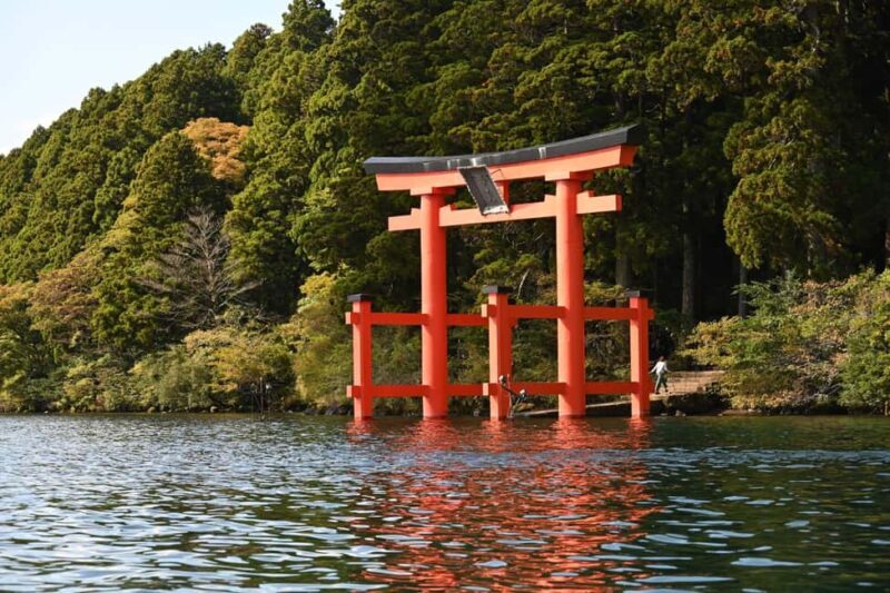 Hakone: All-Inclusive Private Tour - What Our Reviewers Say