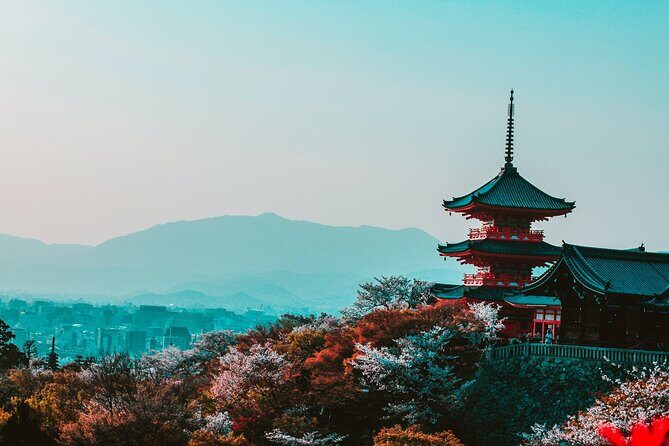 Hakone and Mt. Fuji Day Trip with Private Vehicle - Detailed Review of the Hakone and Mount Fuji Day Trip
