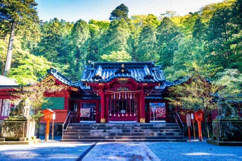 Hakone: Customizable Full Day Tour with Private Transfer - The Sum Up: Who’s This Tour Best For?