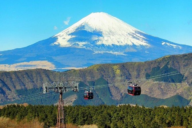 Hakone Full-Day Private Tour By Public Transportation - Who Will Appreciate This Tour?