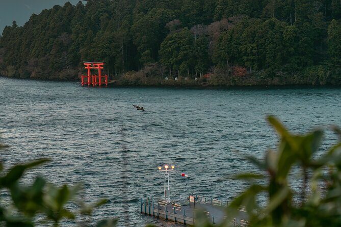 Hakone Full-Day Private Tour Hotel Pickup and Highlights - Pricing and Value