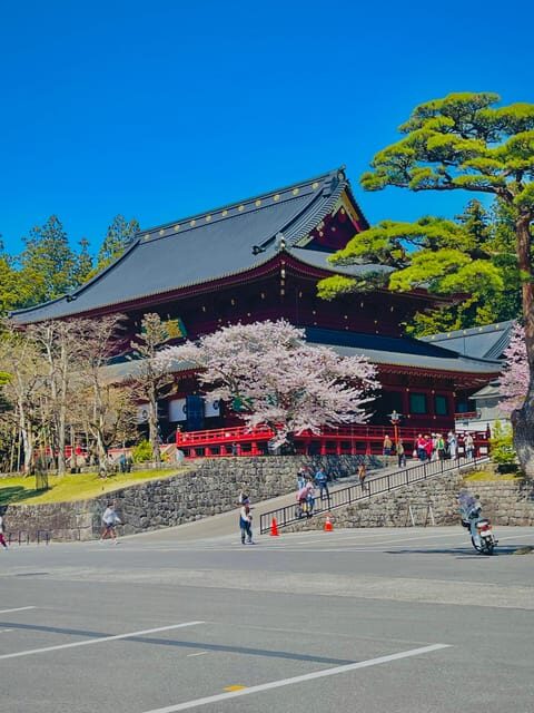 Hakone: Full day private tour with English speaking Guide - A Deep Dive into Hakone: What to Expect from This Tour