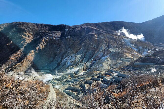 Hakone Luxury Exclusive Tour Full Day with Chauffeured Vehicle - Why the Experience is Different from Standard Tours