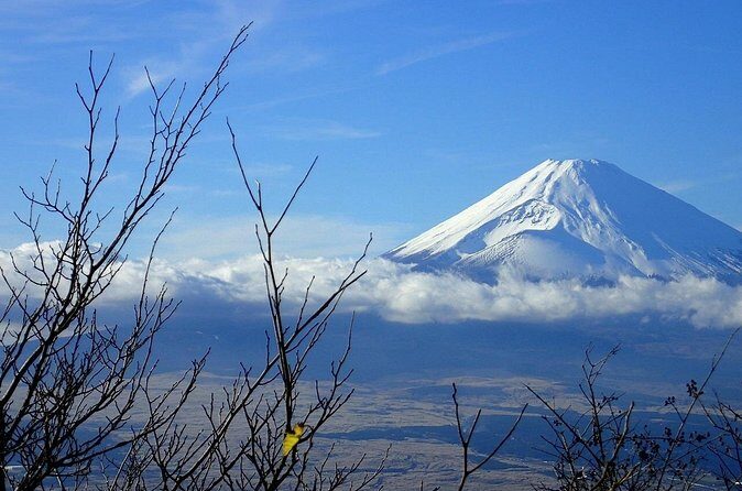 Hakone Luxury Exclusive Tour Full Day with Chauffeured Vehicle - FAQ