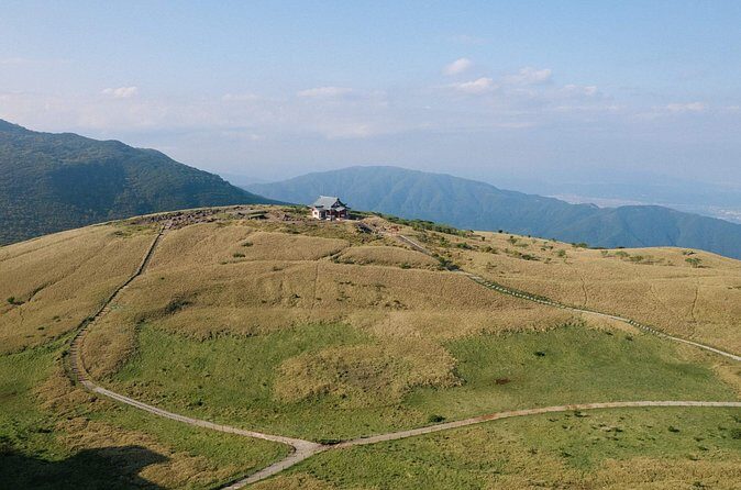Hakone & Mount Fuji Day Trip:Lake Ashi Torii Gate & Oshino Hakkai - Who Is This Tour Best For?