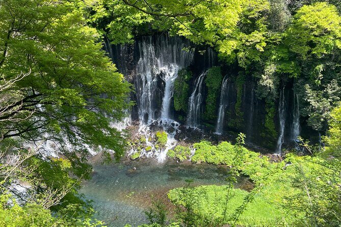 Hakone Private Car Sightseeing Tour - What Travelers Can Expect During the Day