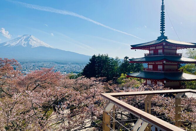 Hakone Private Car Sightseeing Tour - The Sum Up