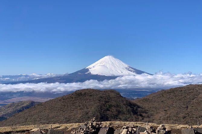 Hakone Private One Day Tour From Tokyo: Mt Fuji, Lake Ashi, Hakone National Park - A Practical Adventure for All Senses: The Itinerary