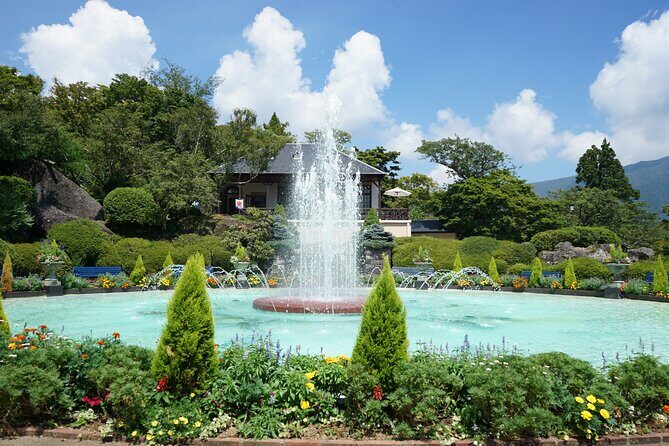 Hakone Private One Day Tour From Tokyo: Mt Fuji, Lake Ashi, Hakone National Park - Who Should Consider This Tour?