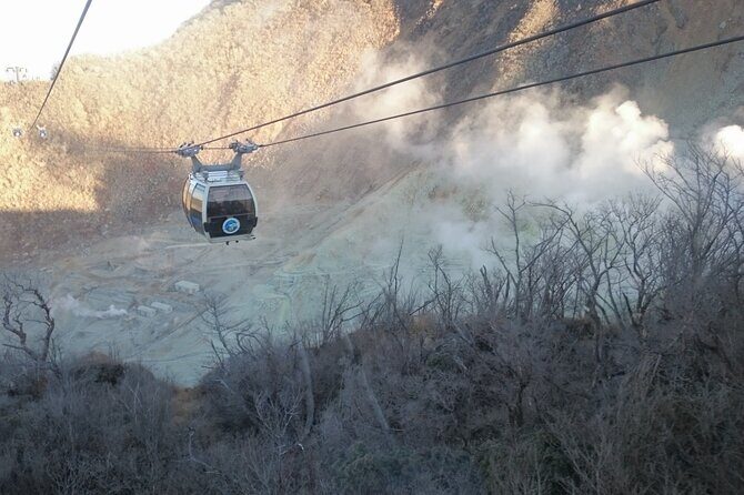 Hakone Scenic Adventure Nature and Tranquil Journey - Who Is This Tour Best For?