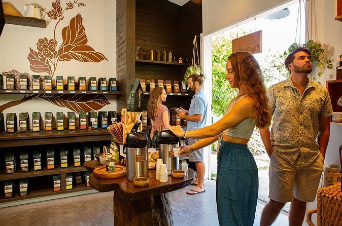 Hala Tree Coffee Farm Tour - Who Should Book?