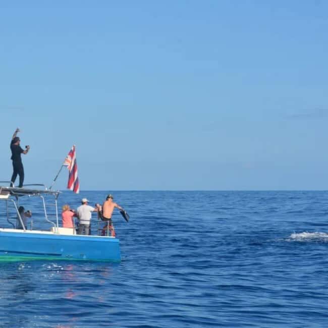 Haleiwa: North Shore Whale Watching Tour by Catamaran - The Itinerary in Detail