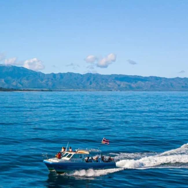 Haleiwa: North Shore Whale Watching Tour by Catamaran - The Sum Up