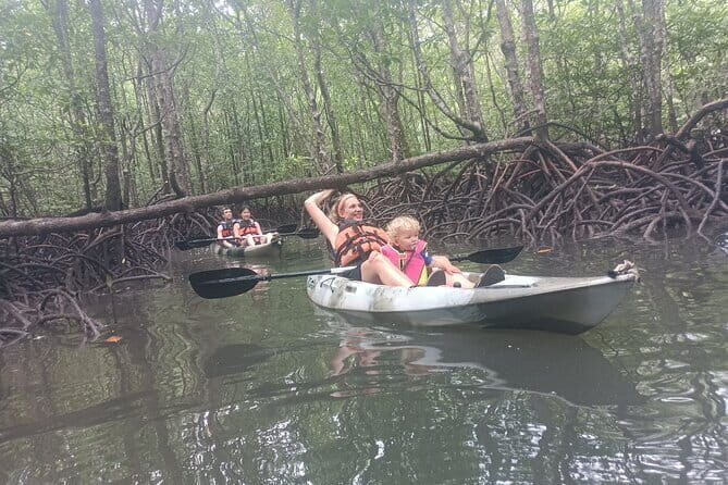Half-day 4 Hours Kilim Mangrove Kayaking (Without hotel pickups) - Key Points
