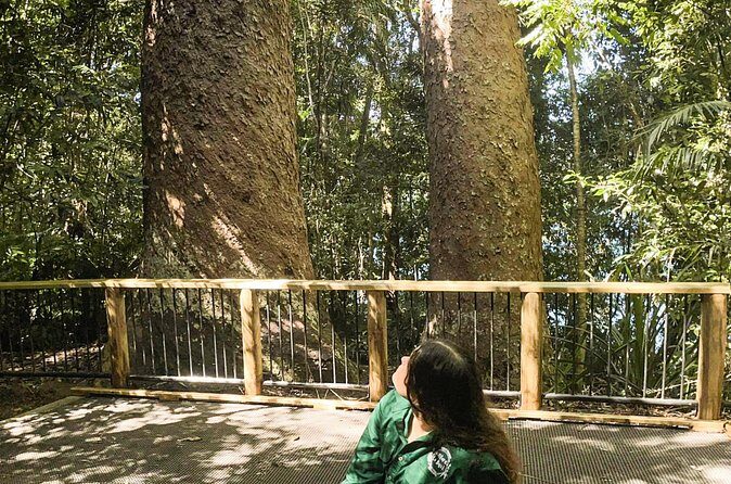 Half-Day Aboriginal Tour Atherton Tablelands - Frequently Asked Questions