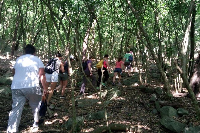 Half-day Accra Safari Tour - A Detailed Look at the Tour Experience