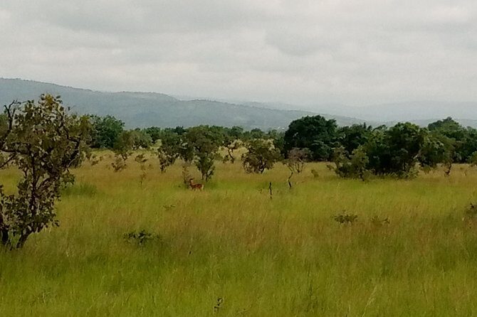 Half-day Accra Safari Tour - The Sum Up