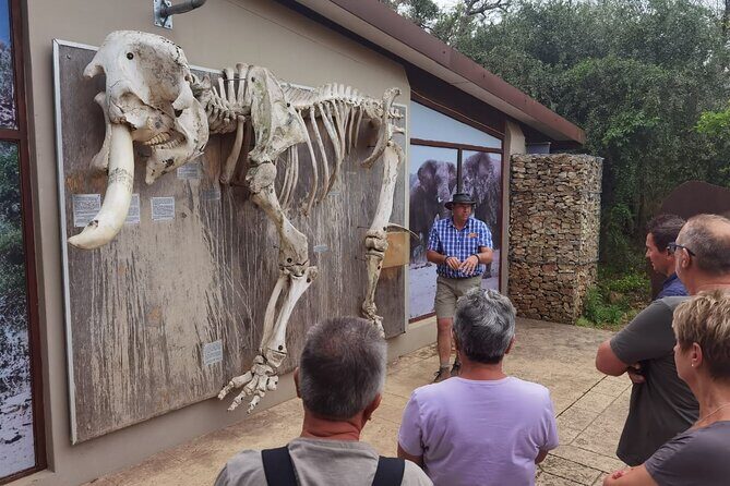 Half-Day Addo Elephant National Park - Final Thoughts