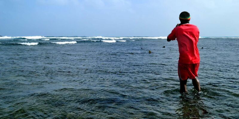 half-day all-inclusive excursion Salinas, Shark Bay Blue Eye - Exploring Sal’s Natural Wonders in a Half-Day
