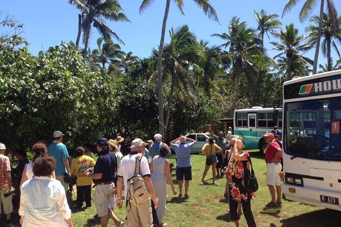 Half-Day Anahulu Cave and Cultural Tour - Practicalities and Value