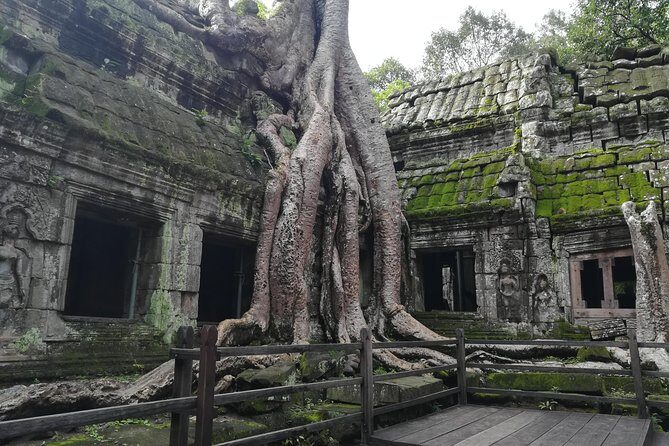 Half Day Angkor Wat Sunrise Private Tour - The Experience at Each Temple