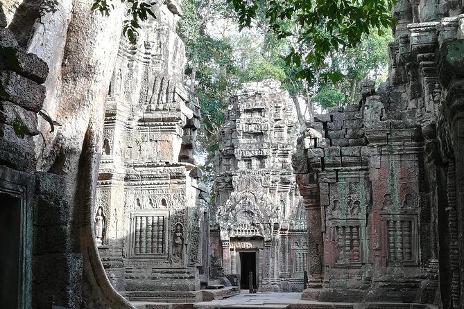 Half Day Angkor Wat Sunrise Private Tour - The Value of This Tour