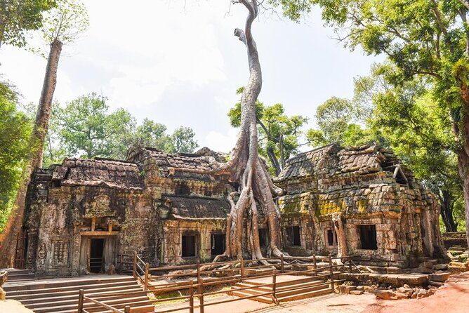 Half Day Angkor Wat Tour - Morning or Afternoon from Siem Reap - Exploring the Half Day Angkor Wat Tour from Siem Reap: Perfect for a Quick Cultural Fix