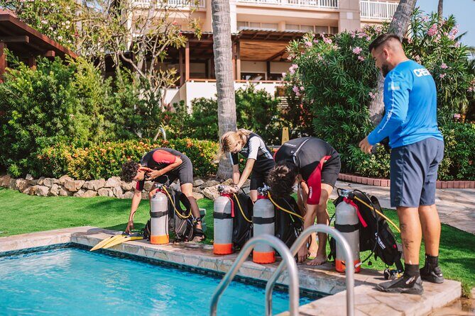 Half-Day Aruba Intro Diving Course for Beginners - Who Should Consider This Tour?
