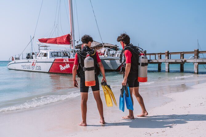 Half-Day Aruba Intro Diving Course for Beginners - Final Thoughts on the Aruba Intro Diving Course