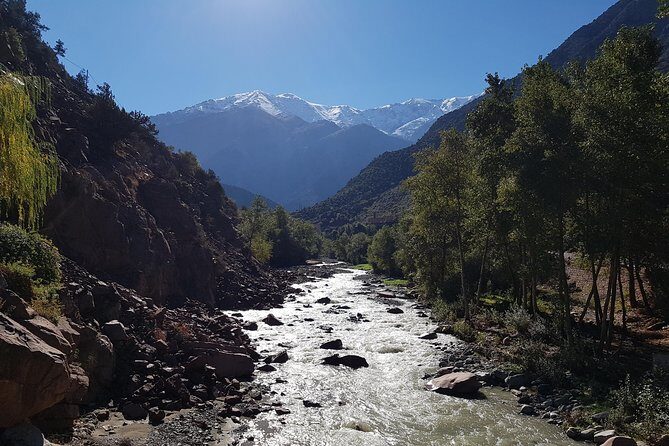 Half-Day Atlas Mountains Tour From Marrakech - Cost and Value
