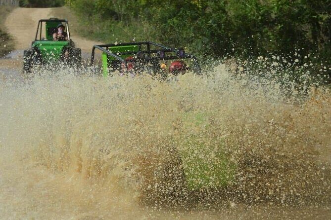 Half-Day ATV or Buggy 4X4 from Bayahibe - La Romana - In Summary
