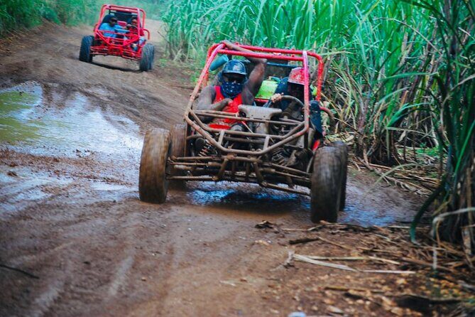 Half-Day ATV or Buggy 4X4 from Bayahibe - La Romana - Value and Booking